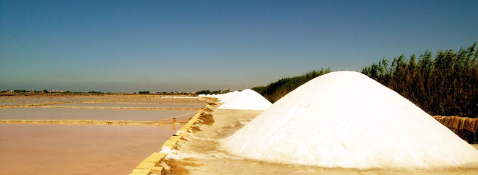 Meersalz aus Frankreich / Italien / Spanien / England Meersalz trocken aus Italien, Fleur de Sel aus der Guerande, grobes, wei�es, feuchtes Meersalz aus Frankreich, grobes Meersalz mit Kr�utern der Provence | www.gourmet-versand.com