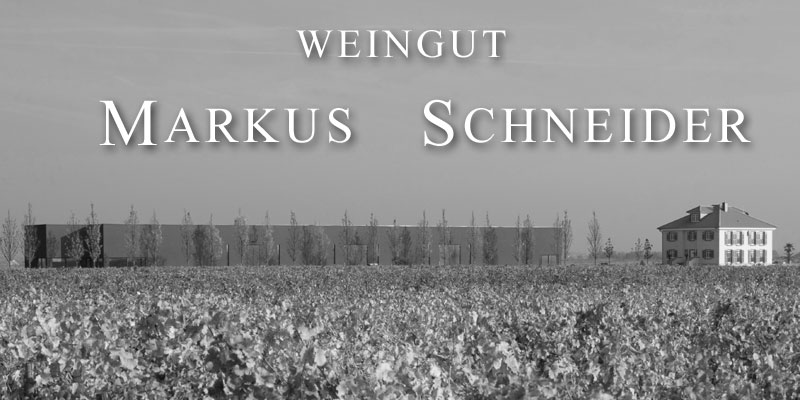 Weine von Markus Schneider - Anbaugebiet Pfalz Mit dem Kauf eines alten Weinguts durch seinen Vater im Jahr 1990 beginnt die Erfolgsgeschichte von Markus Schneider aus Ellerstadt. Hier finden Sie prämierte Weine aus der Pfalz. | www.gourmet-versand.com Weine von Markus Schneider - Anbaugebiet Pfalz Mit dem Kauf eines alten Weinguts durch seinen Vater im Jahr 1990 beginnt die Erfolgsgeschichte von Markus Schneider aus Ellerstadt. Hier finden Sie prämierte Weine aus der Pfalz. | www.gourmet-versand.com