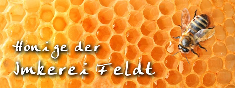 Honige der Imkerei Feldt Akazien, Avocado, Callunaheide, Edelkastanien, Eichenwald, Erikaheide, Eukalyptus, Kaffeeblüten, Klee, Koriander, Linden, Löwenzahn, Manuka, Pampas und noch viele besondere Honigsorten. | www.gourmet-versand.com Honige der Imkerei Feldt Akazien, Avocado, Callunaheide, Edelkastanien, Eichenwald, Erikaheide, Eukalyptus, Kaffeeblüten, Klee, Koriander, Linden, Löwenzahn, Manuka, Pampas und noch viele besondere Honigsorten. | www.gourmet-versand.com