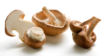 Wiberg Pilz-Aroma, Gew�rzzubereitung mit ca. 55% gem. Steinpilzen und Champingons - 200 g - Aroma-Tresor - www.gourmet-versand.com
