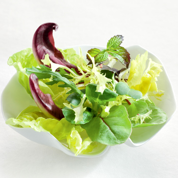 Wiberg Salat Rustikal, W�rzmischung - 570 g - Aroma-Tresor - www.gourmet-versand.com