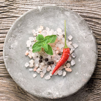 Wiberg Ursalz Kr�uter BIO - 850 g - Aroma-Tresor - www.gourmet-versand.com