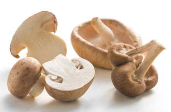 Wiberg Pilz-Mix getrocknet, gew�rfelt - 145 g - Aroma-Tresor - www.gourmet-versand.com