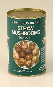 Stroh-Pilze - 425 g - Dose - www.gourmet-versand.com