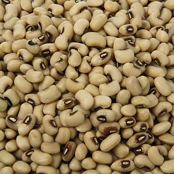Black-Eye-Beans - 400 g - Beutel - www.gourmet-versand.com
