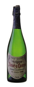 Cava Reserva de la Familia brut natur 2005er, 12% vol von Juve & Camps - 0,75 l - Flasche - www.gourmet-versand.com