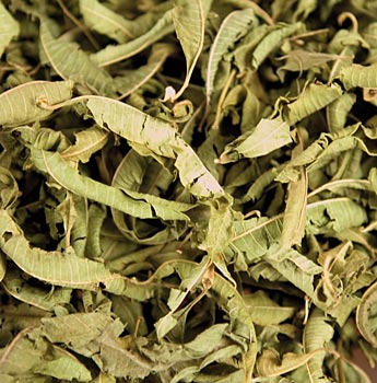 Eisenkraut, ganze Bl�tter - 100 g - Beutel - www.gourmet-versand.com