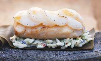 Wiberg Exquisite Terra Mare, W�rzmischung - 110 g - Aroma-Tresor - www.gourmet-versand.com