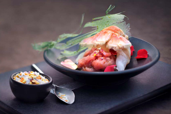 Wiberg Exquisite Cirque de Sel, Salzkomposition mit Gew�rzen - 450 g - Aroma-Tresor - www.gourmet-versand.com