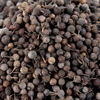 Kubebenpfeffer - Javanischer Pfeffer, auch Schwanzpfeffer/ Stielpfeffer genannt - 90 g - Glas - www.gourmet-versand.com
