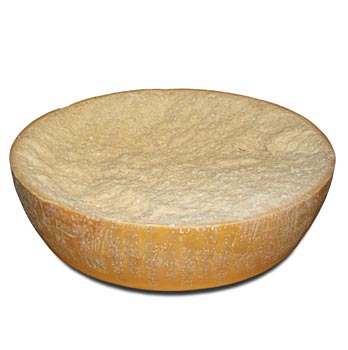 Parmesank�se - Parmigiano Reggiano, 1te Qualit�t, 24 Monate alt, halber Laib - ca. 22 kg - Lose - www.gourmet-versand.com