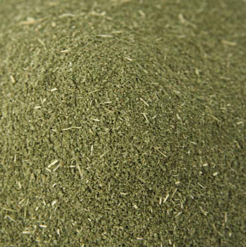 Native Mint - Minze, gemahlen - 180 g - Beutel - www.gourmet-versand.com