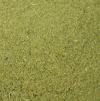 Peppermint Gum - Pfefferminz-Eukalyptus, gemahlen - 40 g - Beutel - www.gourmet-versand.com