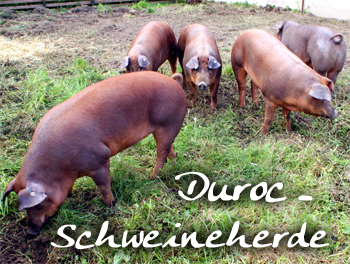 Duroc - Schinken, ger�uchert und mit Meersalz gesalzen - ABSOLUTE RARIT�T - ca. 500 g - Folie - www.gourmet-versand.com