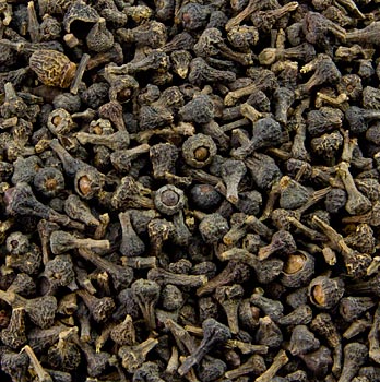Zimtbl�ten, ganz - 100 g - Glas - www.gourmet-versand.com