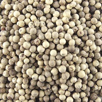 Kaveri Pfeffer wei�, ganz, aus traditionellem Anbau, S�d-Indien - 1 kg - Beutel - www.gourmet-versand.com