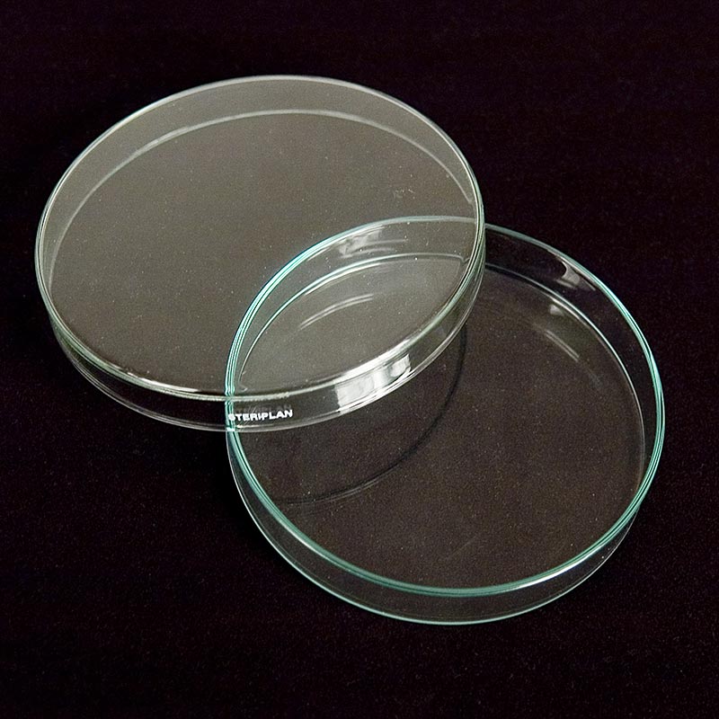 Petrischalen aus Glas, Ø 12cm mit Deckel - 1 Stück - Lose