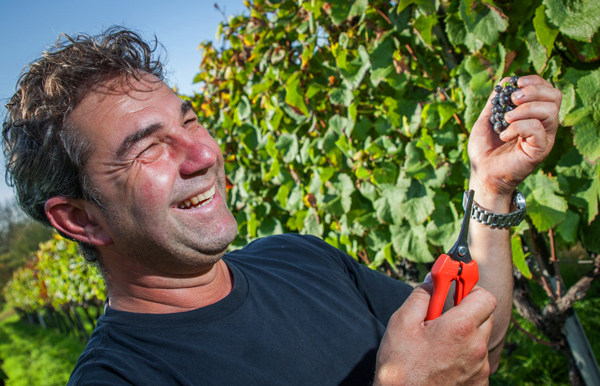 Weinmanufaktur Mario J. Burkhart