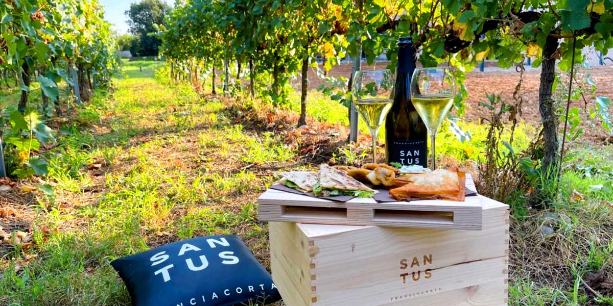 Cantina Santus