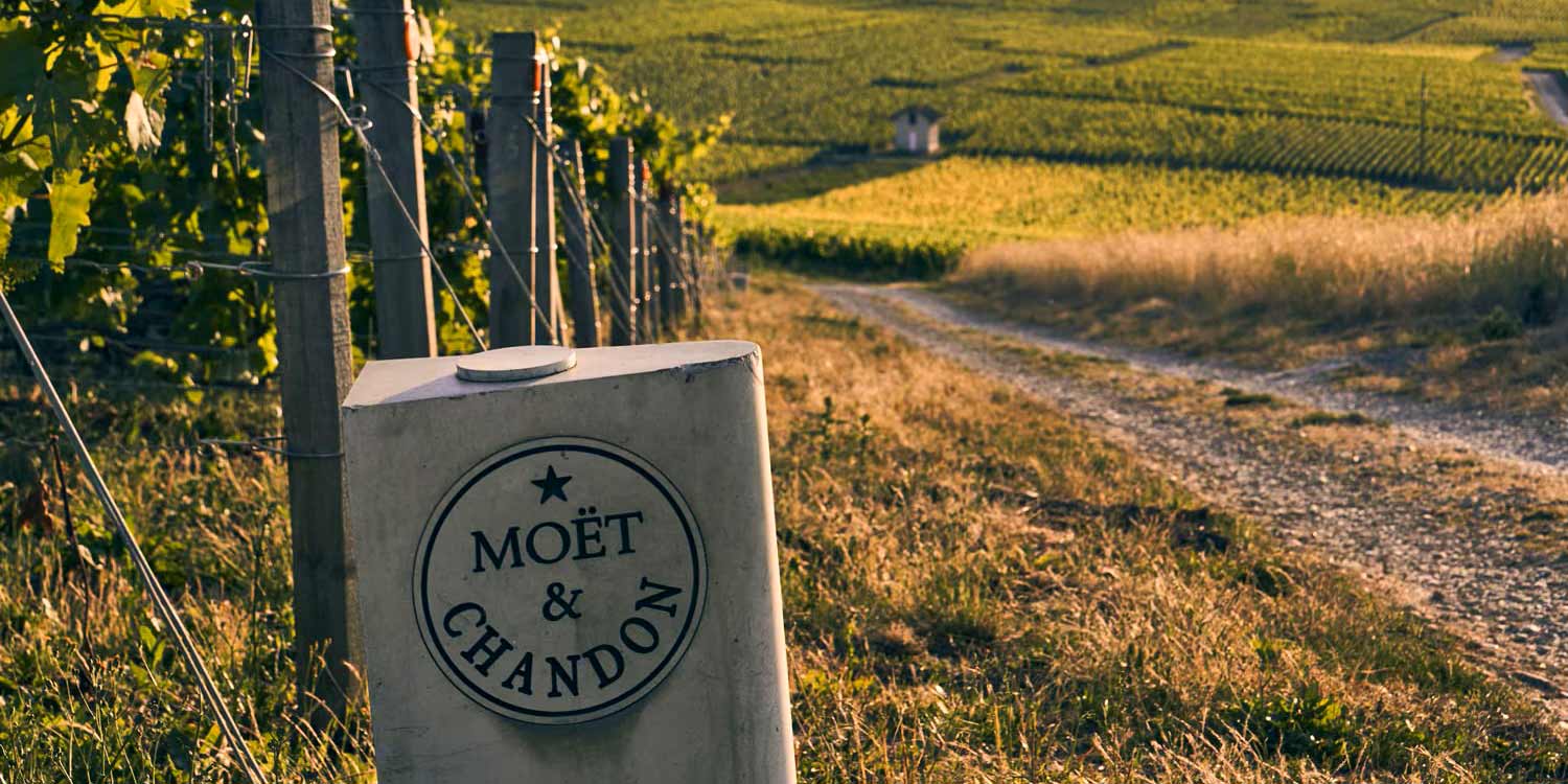 Moet & Chandon Champagner