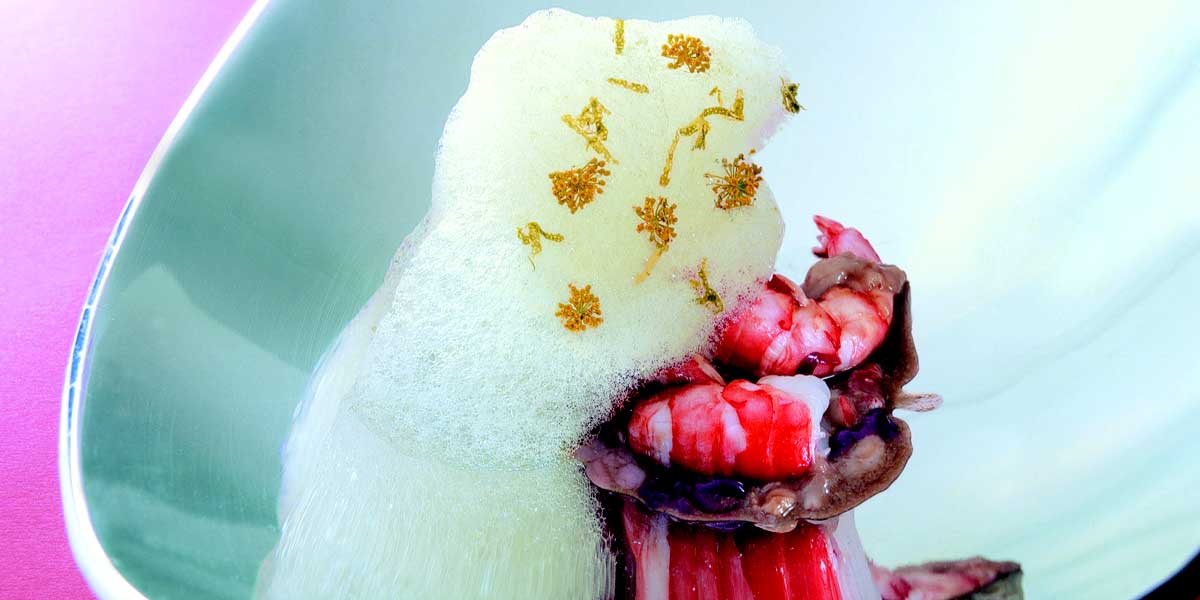 Texturgeber von Creative Cuisine