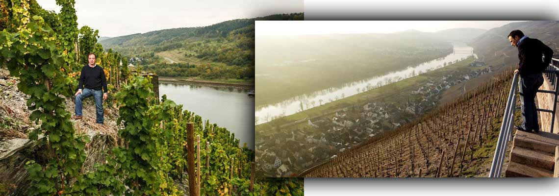 Azienda vinicola Markus Molitor - regione vinicola della Mosella