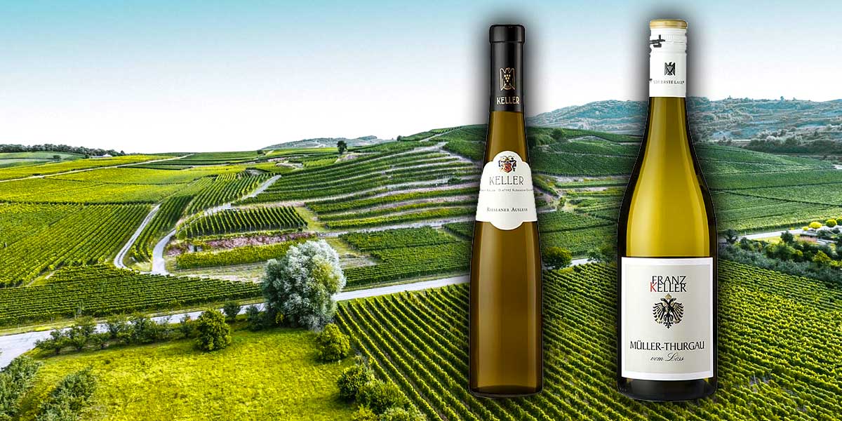 Bodega Franz Keller