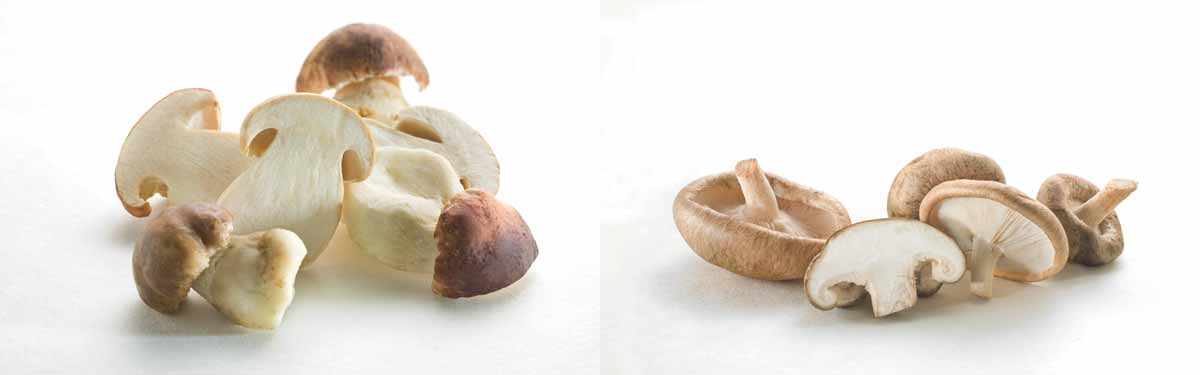 Jamur wiberg, jamur porcini, jamur shiitake