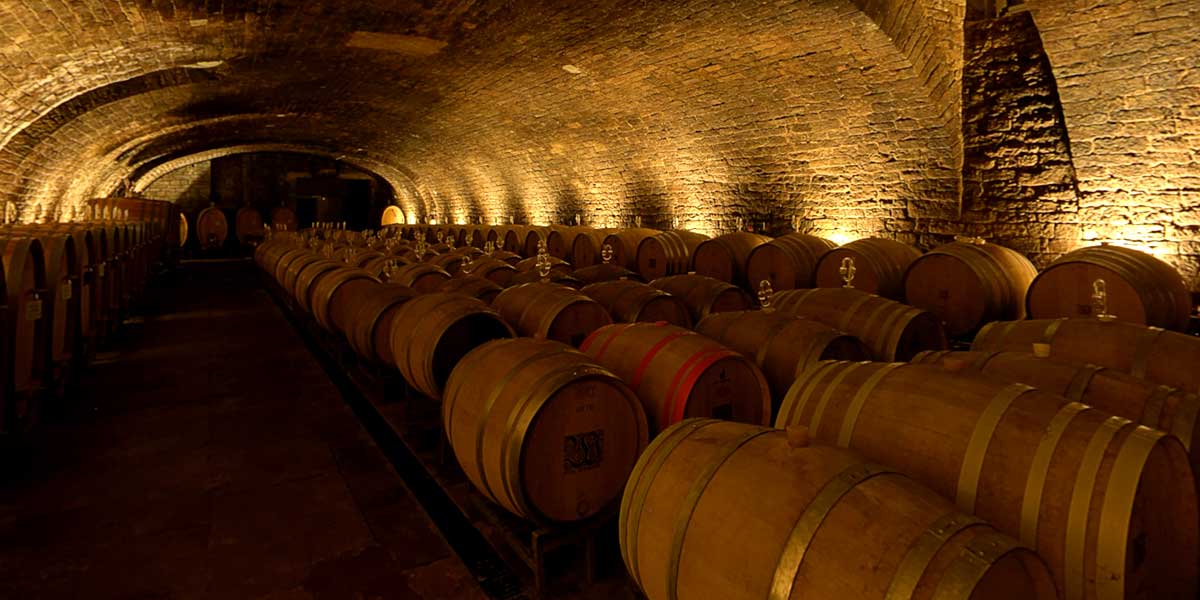 Bodega Ganadora