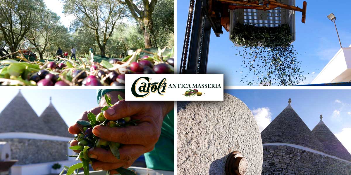 Maslinovo ulje iz Antica Masseria Caroli