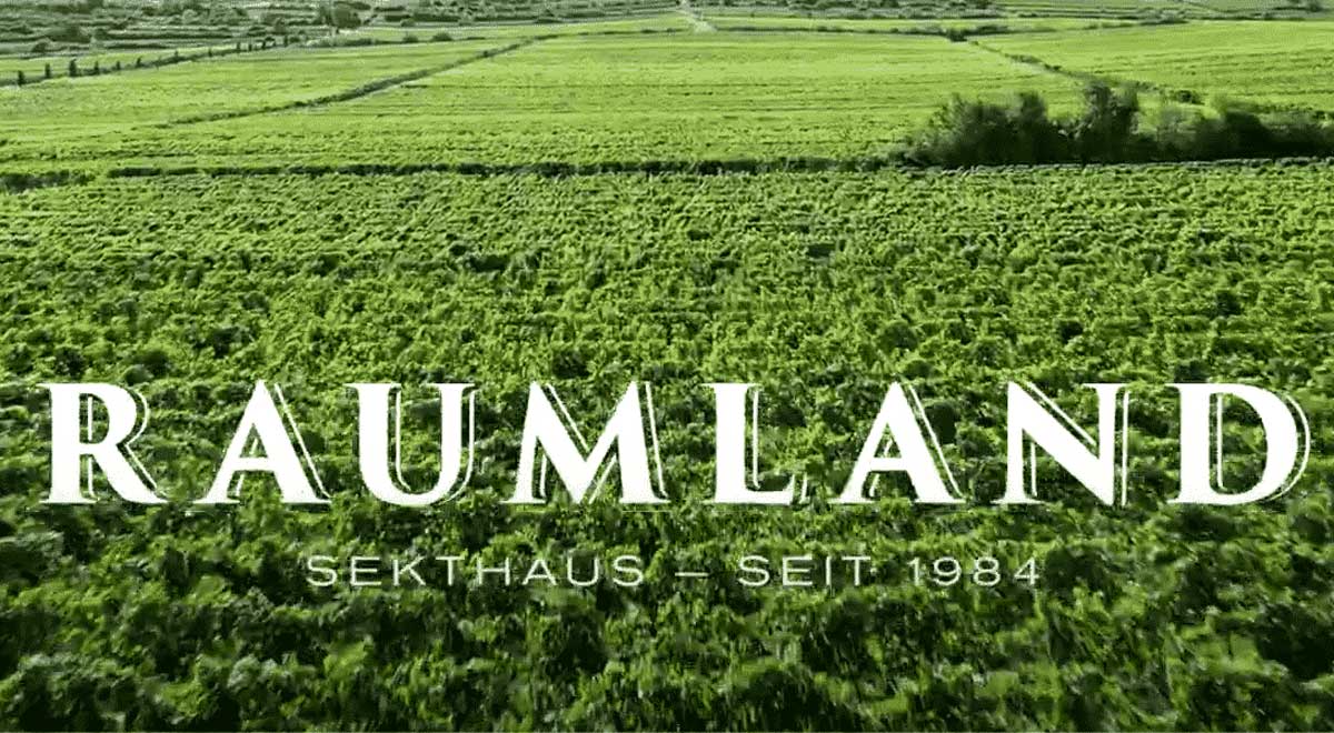 Dom na sumive vino Raumland Od hrozna po sumive vino Dom na sumive vino Raumland Od hrozna po sumive vino