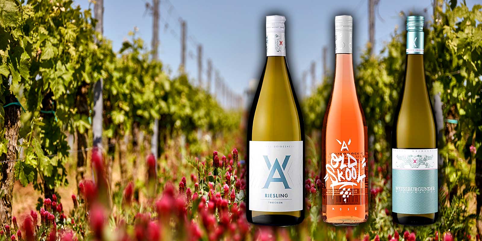 Viner Tyskland - Pfalz - Andres Viner Tyskland - Pfalz - Andres