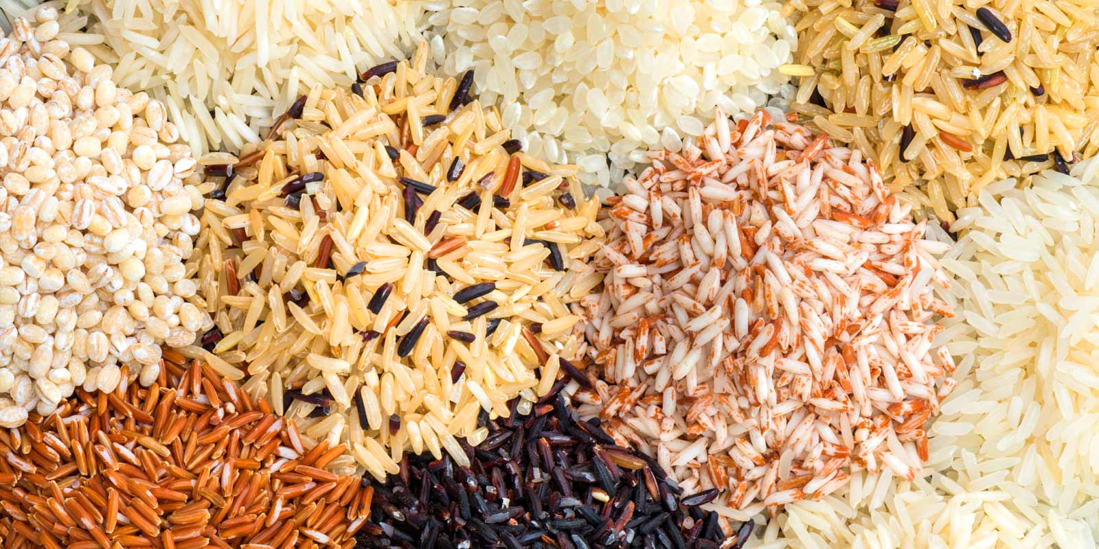 Varietas Padi Lainnya Nasi merah, nasi hitam Varietas Padi Lainnya Nasi merah, nasi hitam