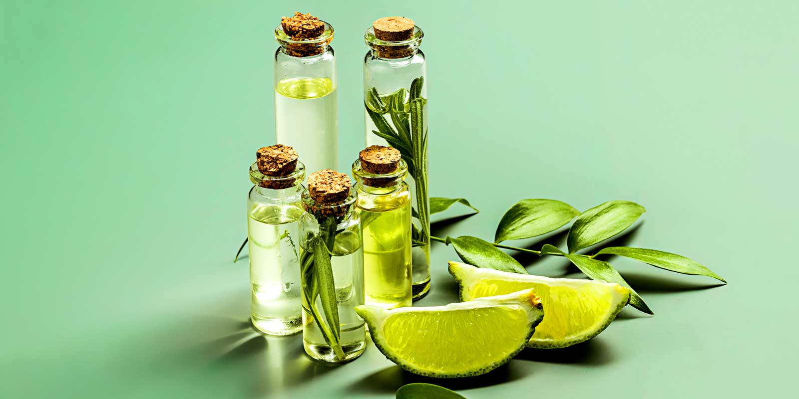 Minyak zaitun rasa dari Italia - dengan aroma truffle
- dengan aroma kemangi
- dengan aroma bawang putih
- dengan aroma rosemary
Dll. Minyak zaitun rasa dari Italia - dengan aroma truffle
- dengan aroma kemangi
- dengan aroma bawang putih
- dengan aroma rosemary
Dll.