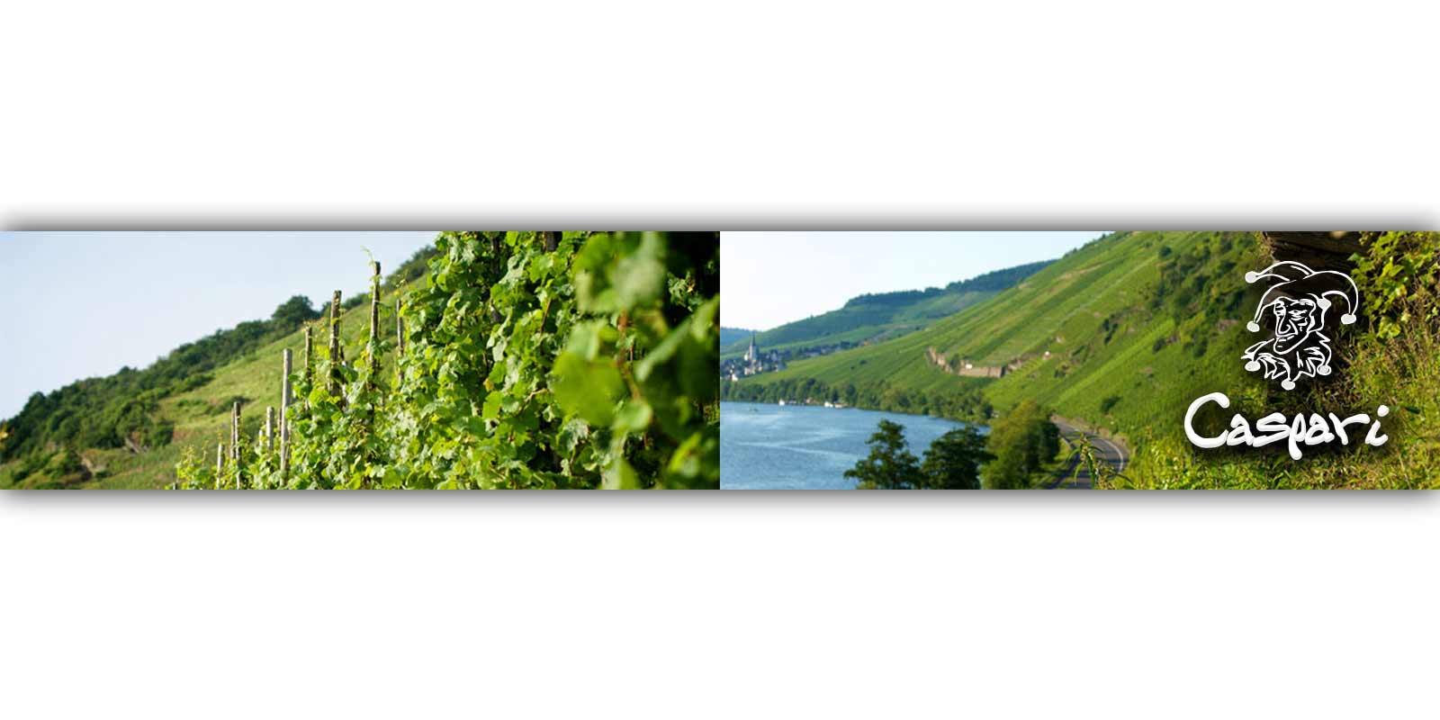 Weingut Caspari-Kappel - Anbaugebiet Mosel Unser Weingut Caspari - Kappel in Enkirch liegt in eines der schönsten und zugleich romantischsten Winzerdörfern der Mosel.Seit über 500 Jahren prägt hier der Riesling den Weinbau unseres Gutes.
Auf 7 ha Rebfläche in den steilen Hängen in unmittelbarer Flußnähe findet die Rieslingrebe auf unterschiedlichen Schieferböden optimale Wachstumsbedingungen. Dabei bieten die Spitzenlagen, z.B. Enkircher Steffensberg und Trabener Gaispfad, erstklassige Voraussetzungen zur Erzeugung großer Rieslingweine. Das Ziel ist die Erzeugung authentischer Weine, in denen das Urgestein Schiefer allgegenwärtig ist. Die konstant guten Leistungen wurden im Gault- Millau 2010 mit einer zweiten Traube belohnt. Ab Jahrgang 2012 sind sämtliche Weine bio- zertifiziert. Weingut Caspari-Kappel - Anbaugebiet Mosel Unser Weingut Caspari - Kappel in Enkirch liegt in eines der schönsten und zugleich romantischsten Winzerdörfern der Mosel.Seit über 500 Jahren prägt hier der Riesling den Weinbau unseres Gutes.
Auf 7 ha Rebfläche in den steilen Hängen in unmittelbarer Flußnähe findet die Rieslingrebe auf unterschiedlichen Schieferböden optimale Wachstumsbedingungen. Dabei bieten die Spitzenlagen, z.B. Enkircher Steffensberg und Trabener Gaispfad, erstklassige Voraussetzungen zur Erzeugung großer Rieslingweine. Das Ziel ist die Erzeugung authentischer Weine, in denen das Urgestein Schiefer allgegenwärtig ist. Die konstant guten Leistungen wurden im Gault- Millau 2010 mit einer zweiten Traube belohnt. Ab Jahrgang 2012 sind sämtliche Weine bio- zertifiziert.