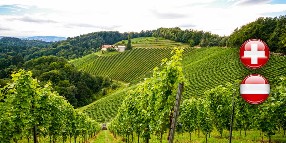 Weine aus Österreich & Schweiz 