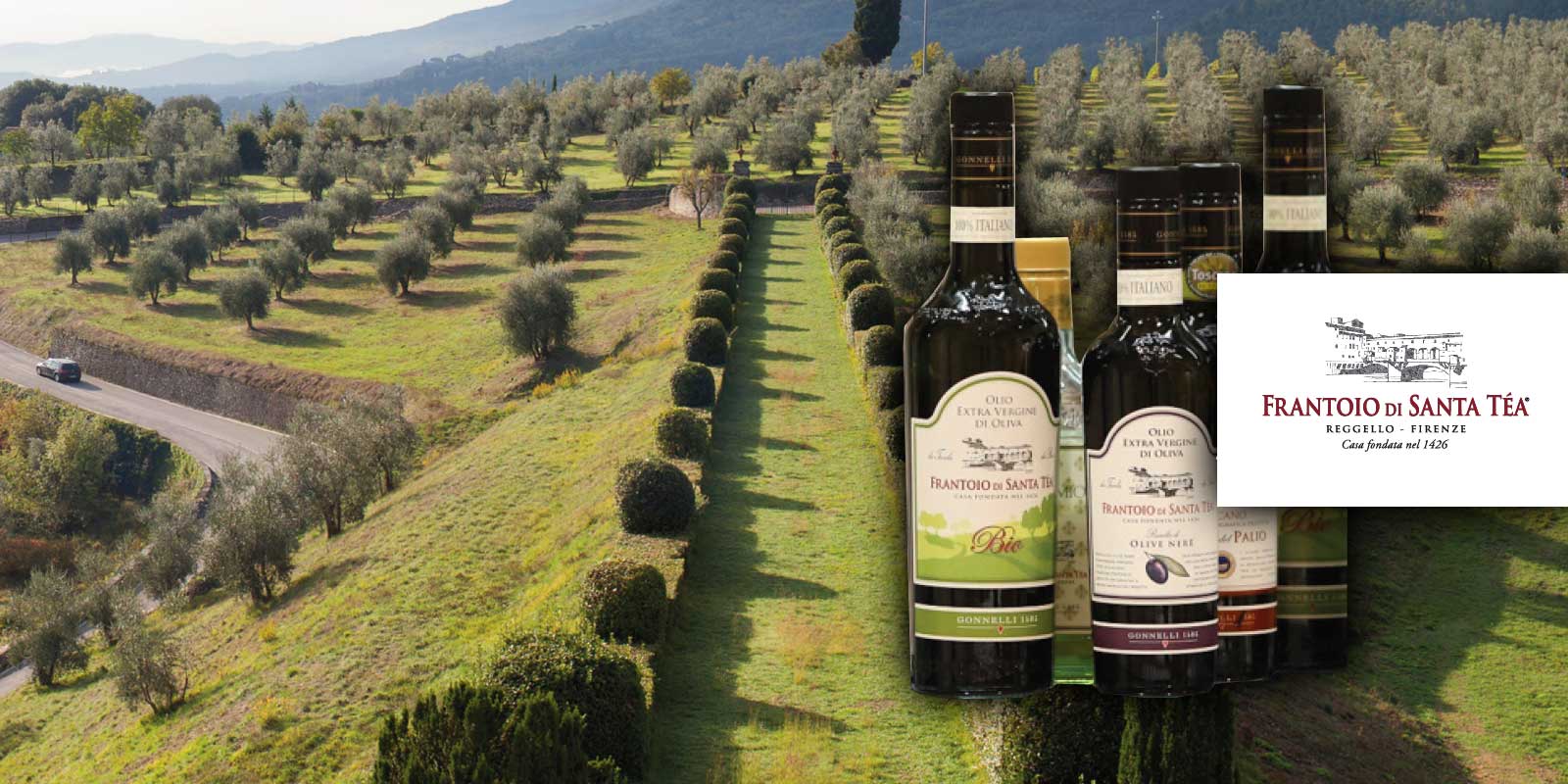 Gonnelli Frantoio di Santa Tea 1585 Olivenöl aus der Toskana Gonnelli 1585 ist eine Marke, die die Beziehung zwischen der Familie Gonnelli und der Welt der traditionellen Ölproduktion darstellt. Im Jahr 1585 kaufte die Familie die Farm von Santa Téa und die dazugehörige Ölmühle, die 1426 erbaut wurde. Heute ist die Firma, Besitzer der Mühle Vertine im Chianti Classico, eine der italienischen Spitzenleistungen in der Welt des nativen Olivenöls. Die Philosophie war immer, ein gesundes, echtes und natürliches Olivenöl anzubieten.
Gonnelli 1585, das mehrere Meilensteine in der Branche erreicht hat und kontinuierlich die Bedeutung von Olivenöl als Lebensmittel mit unzähligen ernährungsphysiologischen und gesundheitsbezogenen Eigenschaften sowie als Träger von Geschmack und Wert in jedem Gericht und in jeder Zubereitung bestätigt hat. Heute bietet Gonnelli 1585 eine breite und vielfältige Produktpalette mit vielen verschiedenen Ölen mit ihren verschiedenen Geschmacksrichtungen und Aromen.