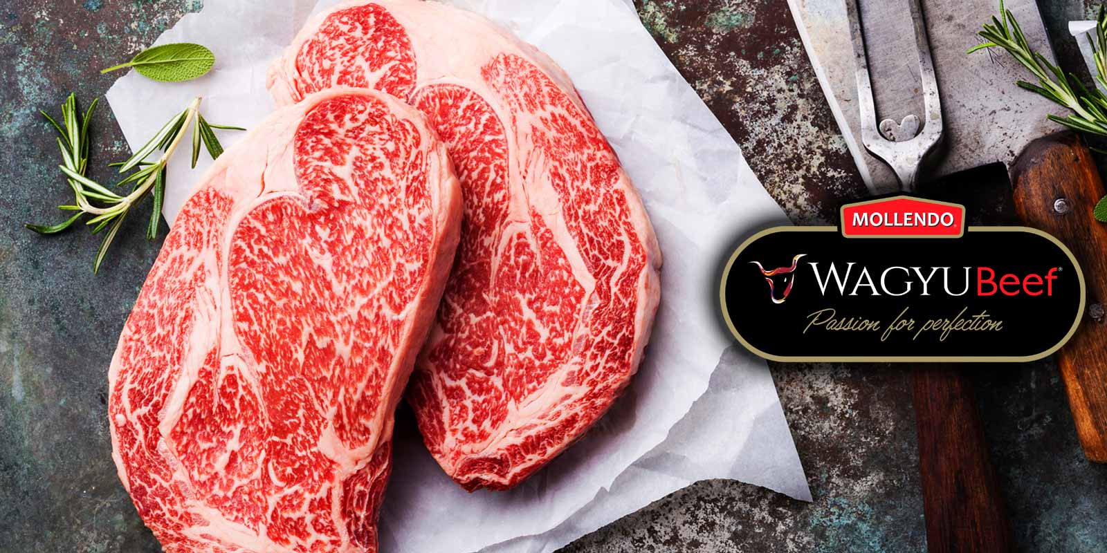 Wagyu Beef, Fleisch von Mollendo aus Chile Agrícola Mollendo ist der größte Hersteller von Wagyu Beef in Chile und zeichnet sich durch hervorragende Leistungen bei der Aufzucht und Produktion von Rindfleisch aus. Die Qualität des Wagyu-Rinds hängt von seiner Genetik, seiner Handhabung und seiner speziellen Ernährung ab.