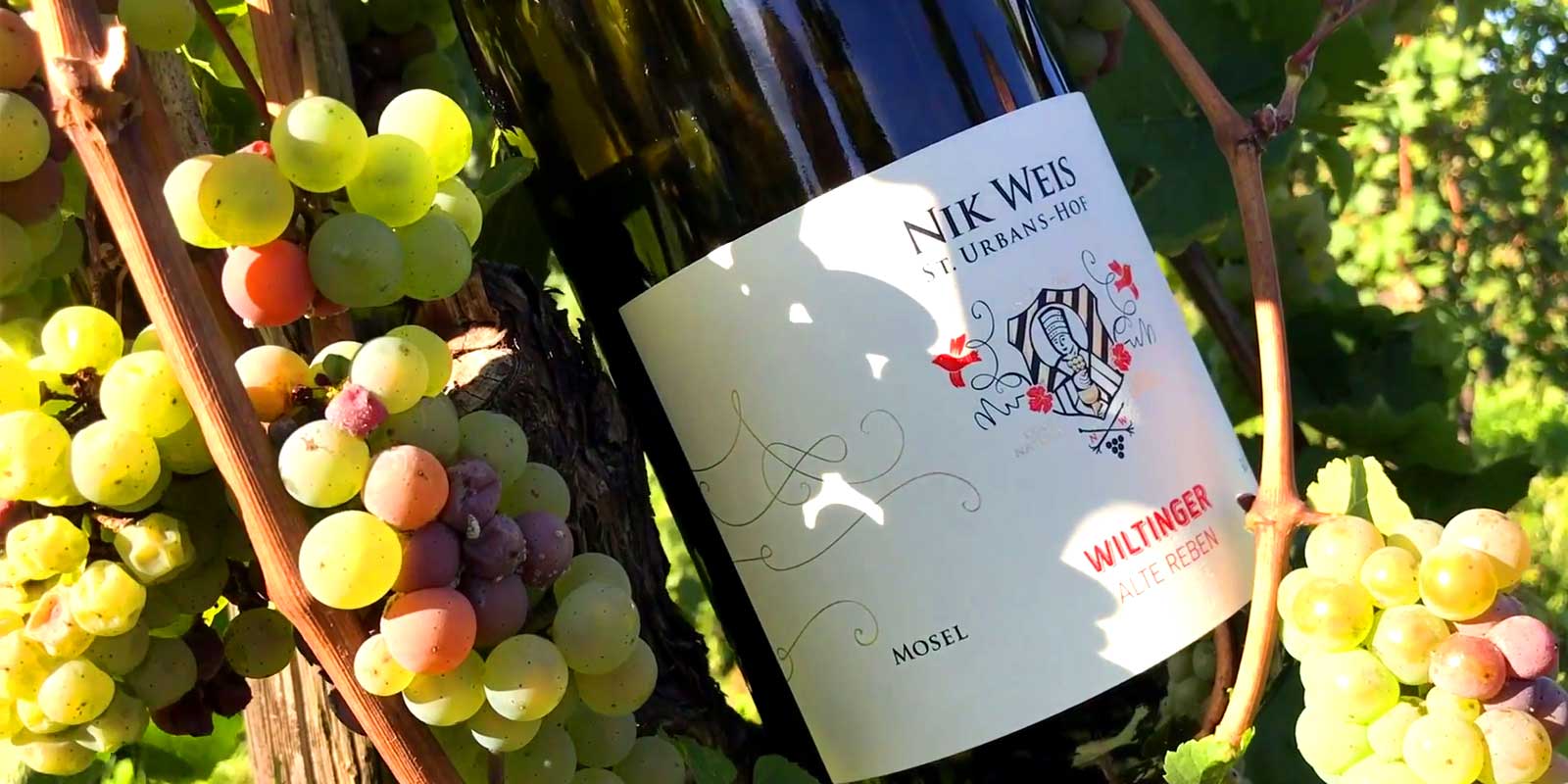 Weingut Sankt Urbans- Hof - Mosel Das Weingut St. Urbans- Hof wurde 1947 von Nicolaus Weis gegründet. Sein Enkel Nik Weis führt das Weingut heute in der dritten Generation. Weingut Sankt Urbans- Hof - Mosel Das Weingut St. Urbans- Hof wurde 1947 von Nicolaus Weis gegründet. Sein Enkel Nik Weis führt das Weingut heute in der dritten Generation.
