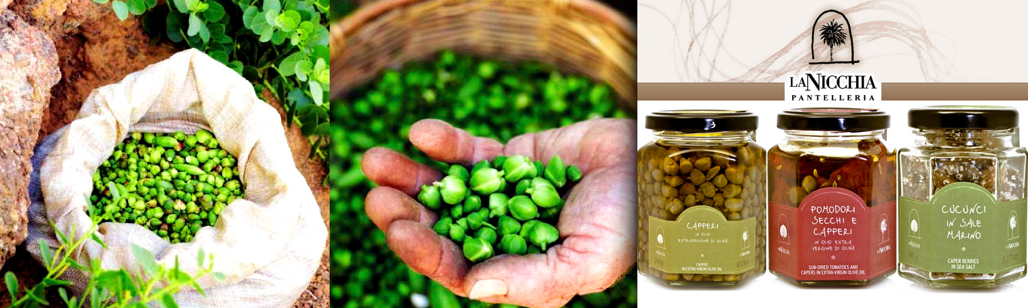 Capers, the caviar of Italy Capers in oil, salt or pickled. Various sizes are available for quality and taste.