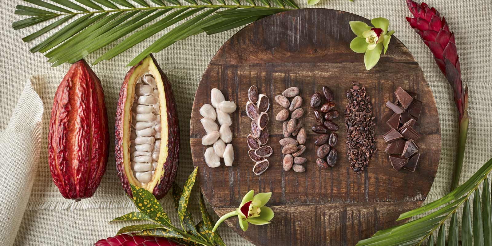 Original Beans Schokolade Esmeraldas Vegan Milk, Gran Cru Udzungwa, Beni Wild Harvest Bolivien, Femmes de Virunga Kongo, Piura Porcelana Peru, Cru Virunga Kongo, Esmeraldas Milk Ecuador, Edel Weiß Domenikanische Republik Original Beans Schokolade Esmeraldas Vegan Milk, Gran Cru Udzungwa, Beni Wild Harvest Bolivien, Femmes de Virunga Kongo, Piura Porcelana Peru, Cru Virunga Kongo, Esmeraldas Milk Ecuador, Edel Weiß Domenikanische Republik