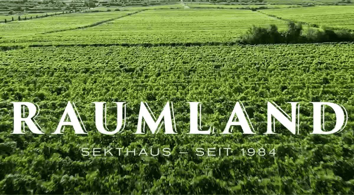 Sparkling wine house Raumland From grapes to sparkling wine