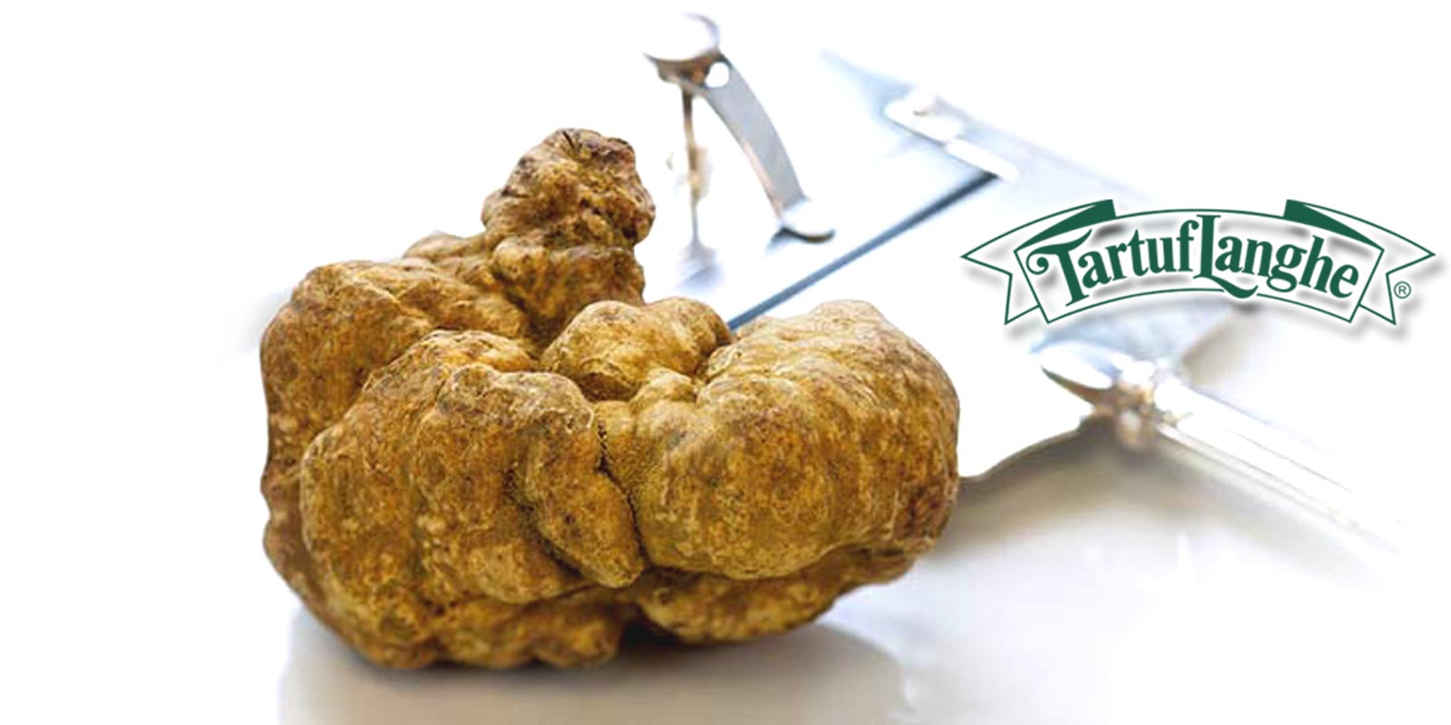 Produk Tartuflanghe Sejak tahun 1968, Tartuflanghe telah memproduksi dan mendistribusikan produk truffle dan truffle. Mereka dicirikan oleh rasa dan kualitas produksi yang tinggi.