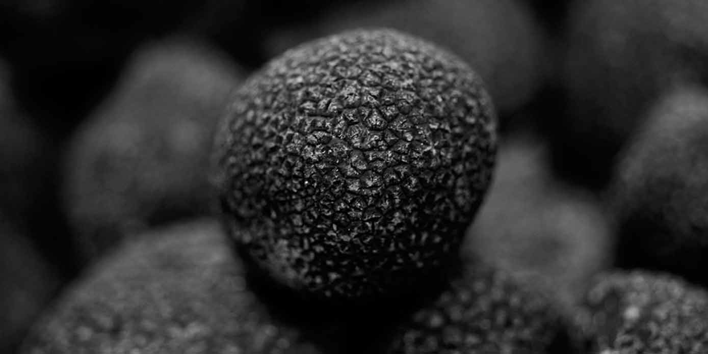 Truffle musim sejuk dari Perancis oleh Plantin Brisures (puri truffle musim sejuk), 1er Choix (truffle keseluruhan, ubi), truffle mulia musim sejuk, Pelure (kulit dan hirisan truffle), Morceaux (kepingan truffle), Pelees (truffle yang dikupas)