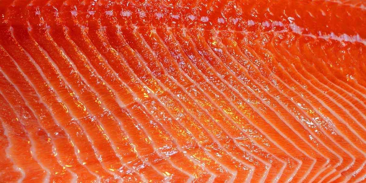 Salmon salai Scotland dan salmon lain Salmon salai Scotland sebagai makanan istimewa untuk menyediakan resipi salmon yang lazat.
Juga sesuai untuk digunakan sebagai sushi.
Perkara 12188 dan 12191 sudah dipotong dan masing-masing dipisahkan dengan kerajang.