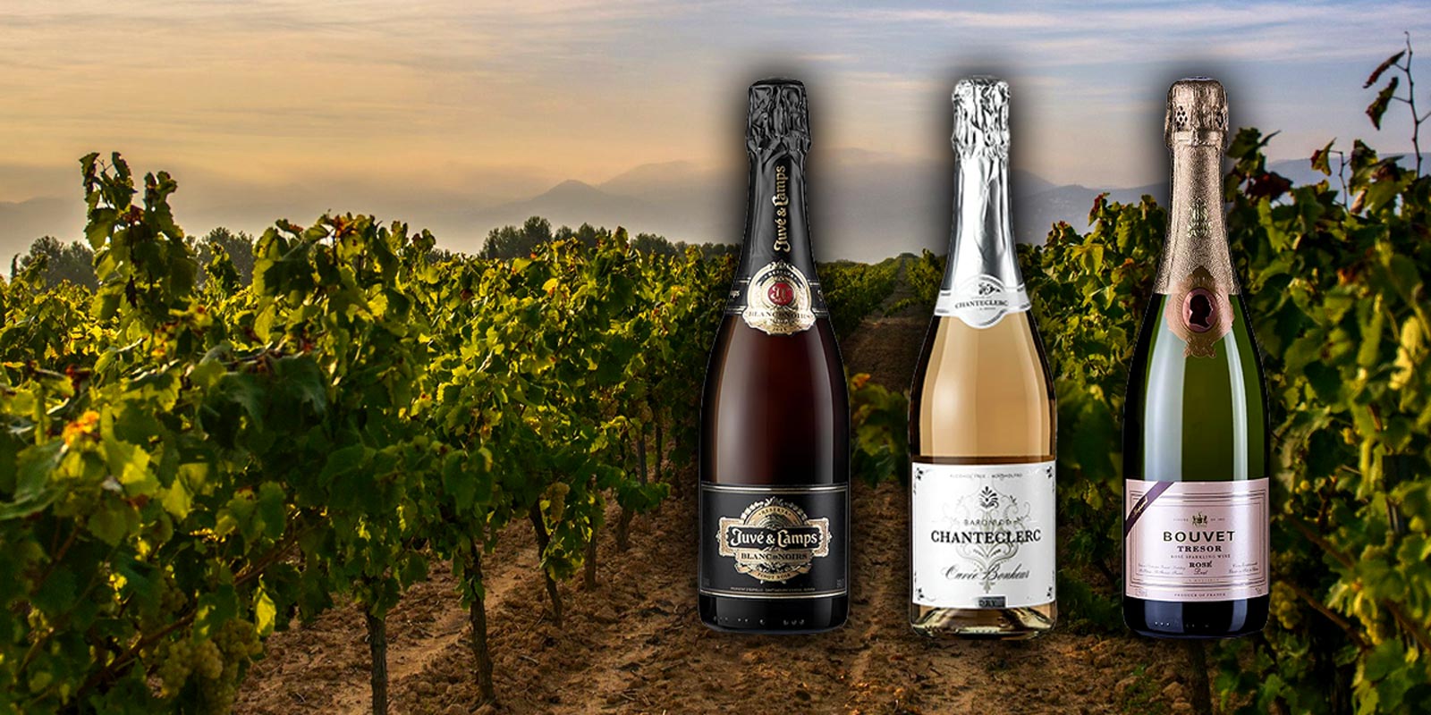 Cremant dan wain berkilauan Perancis Cremant de Loire juga dipanggil Champanger of the Loire. Seperti champagne, kreman dihasilkan menggunakan proses penapaian botol.