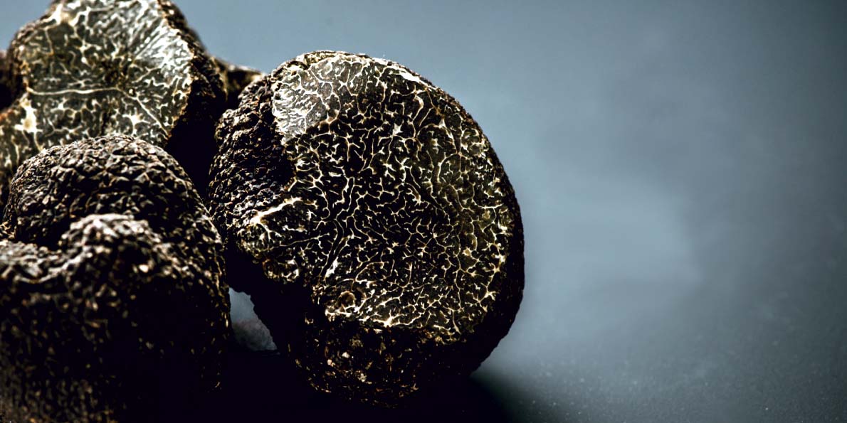 Truffle diawetkan truffle utuh, irisan, potongan