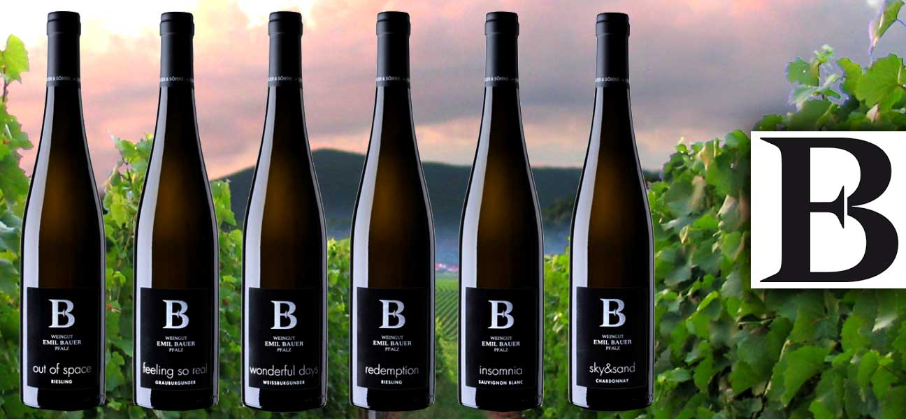 Emil Bauerin viinitila - Pfalzin viinialue Bauer-perheyrityksen viides sukupolvi Landau-Nussdorfissa viljelee viinia.