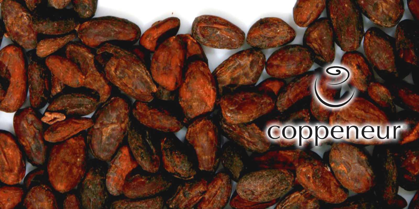 Schokoladen von Coppeneur Im rheinischen Bad-Honnef, liegt die exclusive Manufaktur der Confiserie Coppeneur et Compagnon. Hier entstehen seit Jahren die wohl raffiniertesten Kreationen aus Chocolade und Cacao.