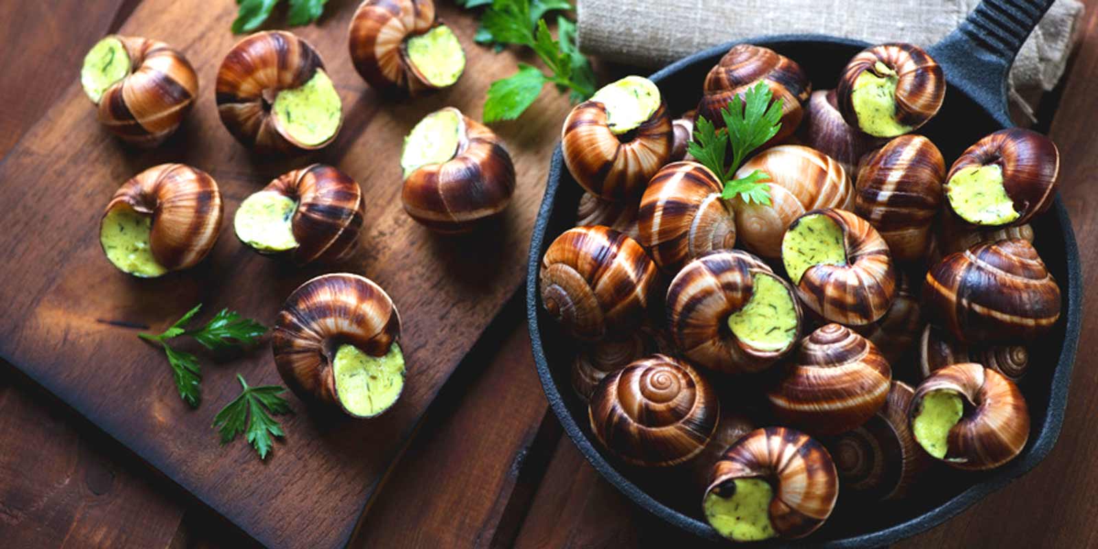 escargots Escargots en agate, escargots de Bourgogne, escargots de vigne